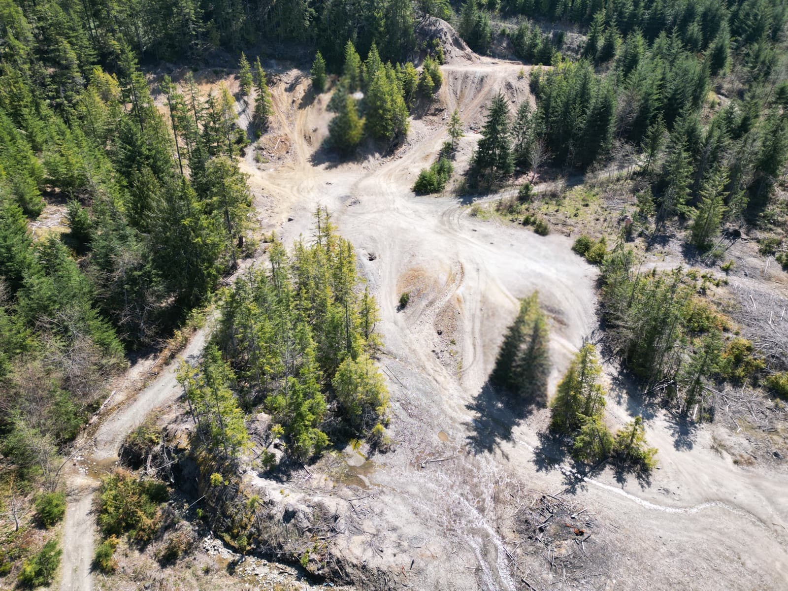 The Lenora workings today — bare waste rock the forest never took back