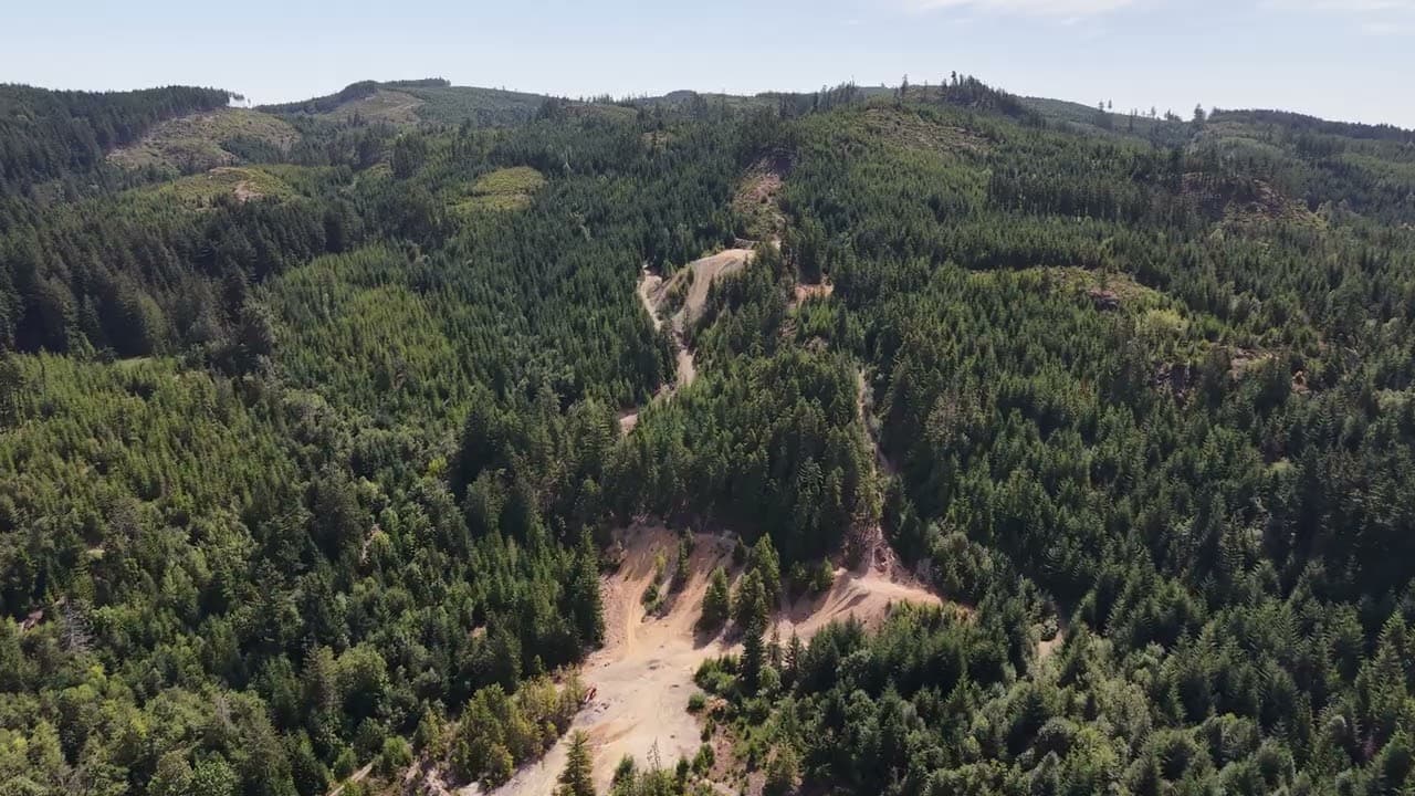 Mount Sicker from the air — the bare workings above the Cowichan Valley forest