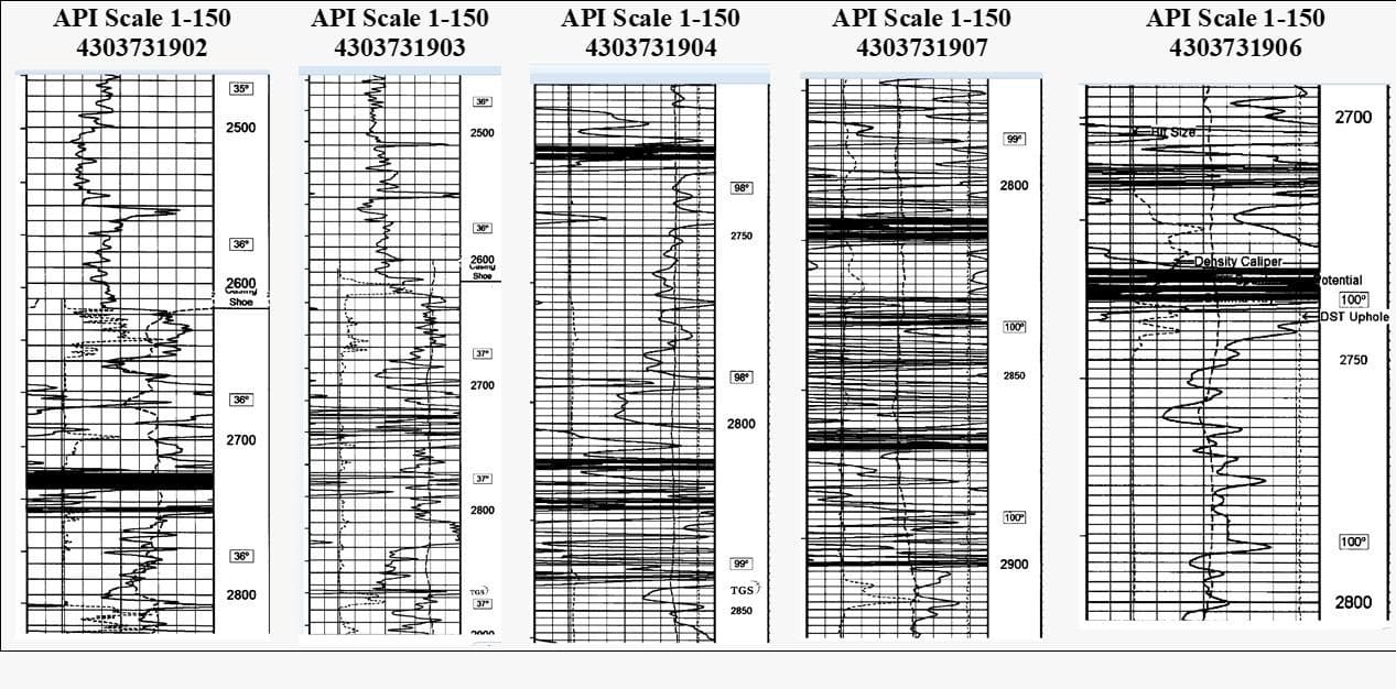 The evidence in the archive: historic oil-and-gas well logs through the east flank, their gamma traces spiking hard at depth — the black bands ran to, and past, the top of the scale. Source: American Atomics.