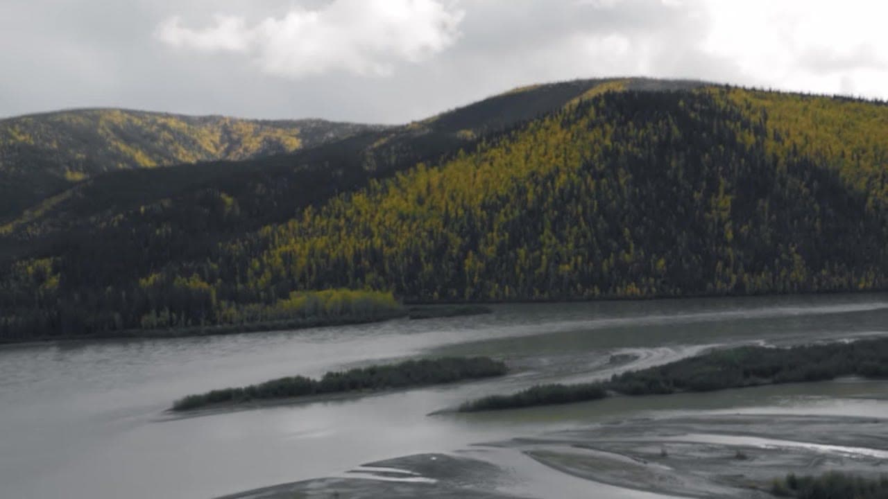 Braided Yukon river valley in autumn gold and spruce