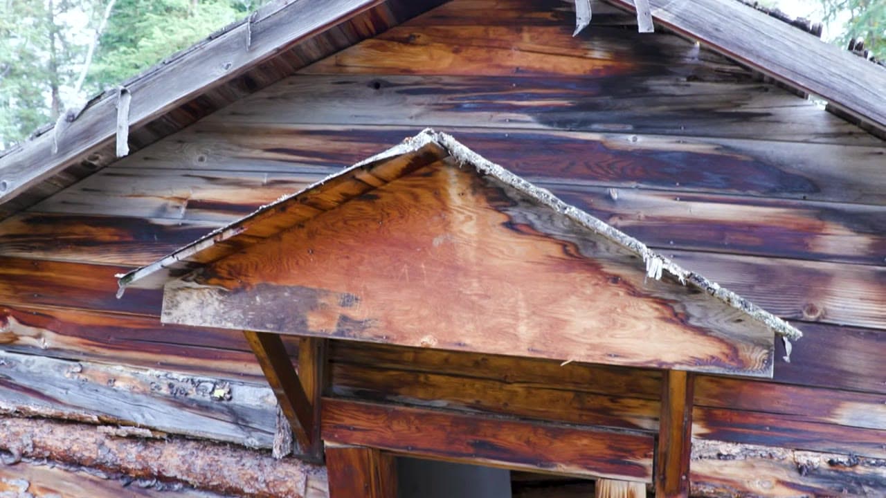 Weathered Yukon cabin timber — Rediscovering the Yukon pilot still